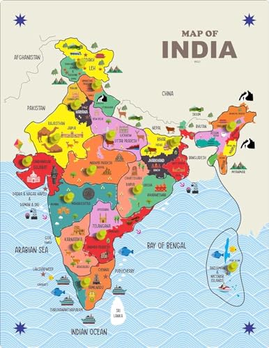 Wooden India MAP Board Puzzle Educational Indian States and Capital map Jigsaw Puzzle Multi Color for Kids 3+ yrs to 8 Years