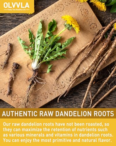 Image of Olvvla - Dandelion Root Tea Bags - 2g X 80 Count - Premium Raw Dandelion Root Tea - Caffeine-free - Non-GMO - Natural Dandelion Tea