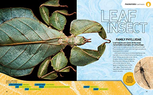 Ultimate Bugopedia: The Most Complete Bug Reference Ever (National Geographic Kids) - Image 4