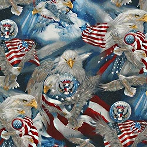 Robert Kaufman Patriots Americana Patriotic Symbols Collage