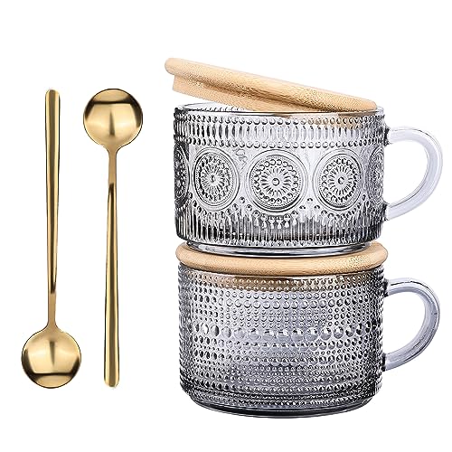 Vintage Glass Coffee Mugs Set of 2,Clear Embossed Glass Tea Cups with Bamboo Lids and Spoons, Cute Coffee Bar Accessories