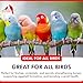 Morning Bird Thrive Nutritious Energy Supplement with Minerals, Vitamins, Amino Acids, Electrolytes, and Protein 1 oz