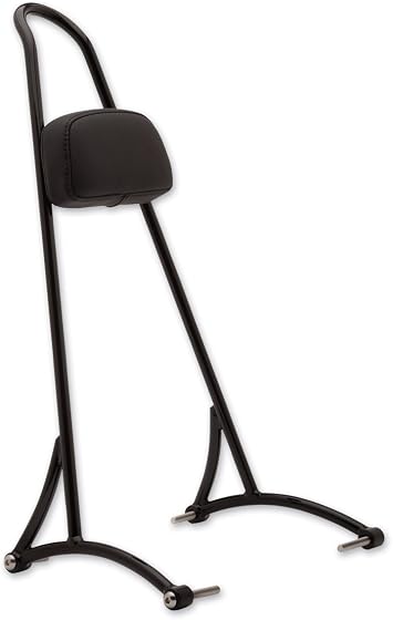 Burly Brand Sissy Bar alto Harley Davidson Sportster 04-15 : Amazon.it:  Auto e Moto