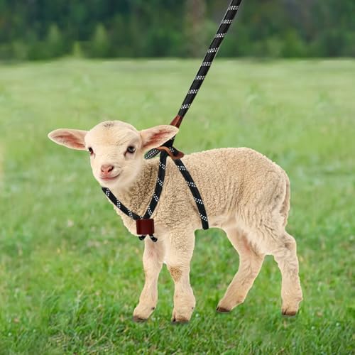 HRYOML Goat Harness & Leash, Adjustable Step-in Sheep...
