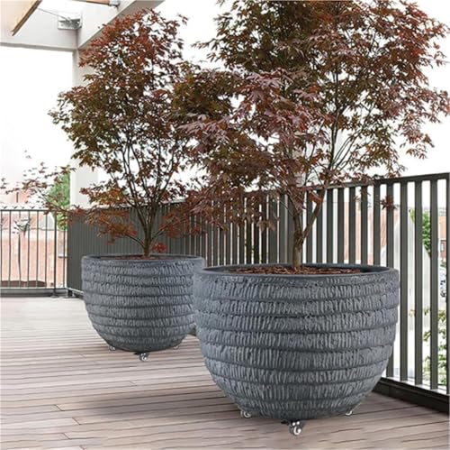 Chariot à roulettes pour plantes - Support roulant pour intérieur/extérieur - 30 cm