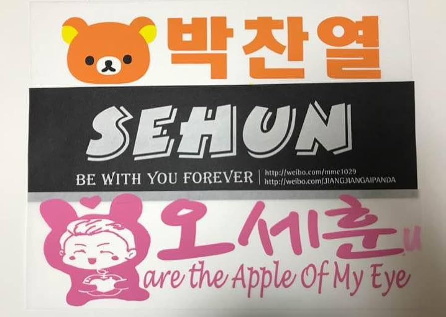 EXO チャニョル セフン  スローガン EXO エクソ チャニョル スローガン - メルカリ