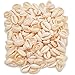 Juvale Cowrie Sea Shell Pendants, 1 Inch Dangle Charms for DIY Jewelry Making, Versatile Cowrie Shells for Crafting, Creating Accessories, Bracelets, Souvenirs, Personalized Gifts (150 Pieces)