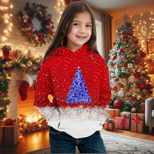 Christmas Hoodies for Teen Girls Cute Trendy Long Sleeve Pullover Hoodies Xmas Tree Oversized Hooded Sweatshirts Tops3