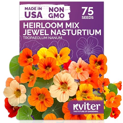KVITER 75 Mix Jewel Nasturtium Seeds for Planting Outdoors (Tropaeolum Nanum) — Heirloom & Organic Seed Packet — Edible Flower Seeds to Plant Outside & Inside in Garden, Containers, Hanging Baskets