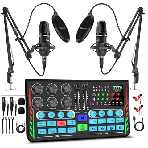 Hayner-Seek Podcast Equipment Bundle for 2, DJ Mixer with 3.5mm Diaphragm Condenser Microphone for Live Streaming, Podcast Recording,Gaming, Youtube, TikTok, PC, Smartphone Cover