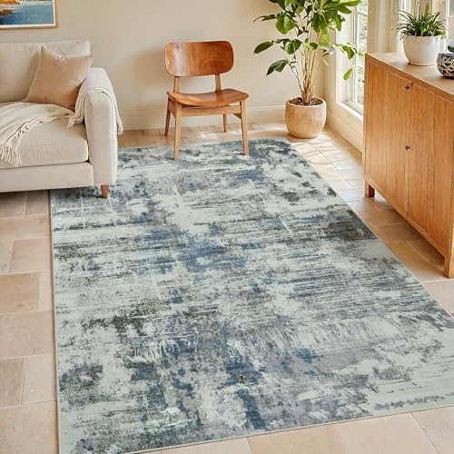 Area Rug Living Room Rugs: 3x5 Indoor Soft Fluffy Rug Abstract Carpet for Bedroom Kitchen Dining Room Floor Washable Plush Throw Small Accent Rug Home...