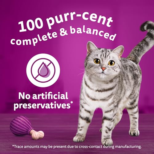 WHISKAS Favourites Adult Wet Cat Food - Chicken, Salmon, Tuna, White Fish Flavour Cuts in Gravy - 100% Complete and Balanced - Multipack 32x 85g Pouches image 1