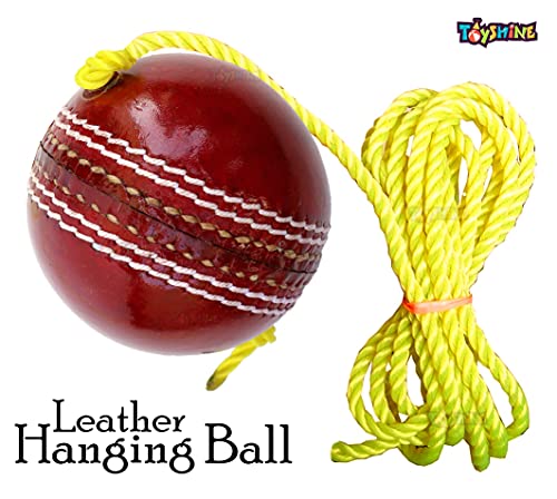 Toyshine Cricket Hanging Ball For Shot Practice, (Leather, Sstp, Red) 5 51r0 eZIBuS