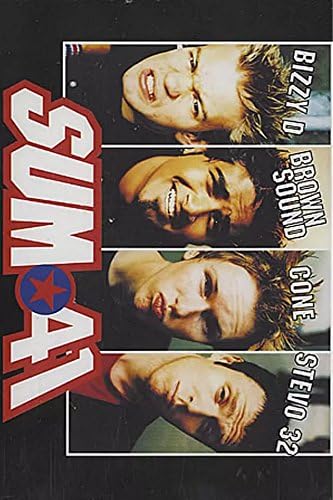 Sum 41 Poster Print,20x30 inch NO 1