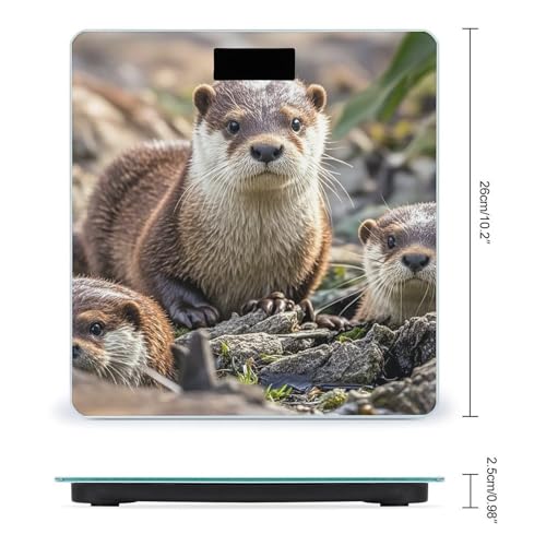 Báscula Digital de Baño Animal Cute Brown Otters miniatura 2