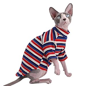 Kitipcoo Sphynx Katze T-Shirt Größe XL