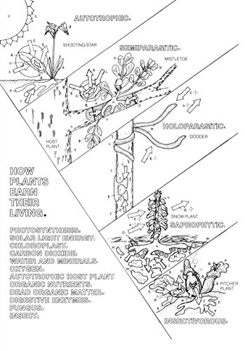 The Botany Coloring Book 51r05m1pRXL - The Botany Coloring Book