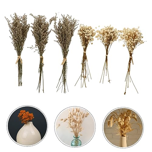 Alipis 6pcs Ramo de Flores Secas Elegante Babys Breath miniatura 6