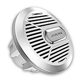 El subwoofer marino de Alpine SWR-M100 de 25 cm.
