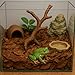 Tender Tropicals Frog Tank Accesories 100 pcs 3