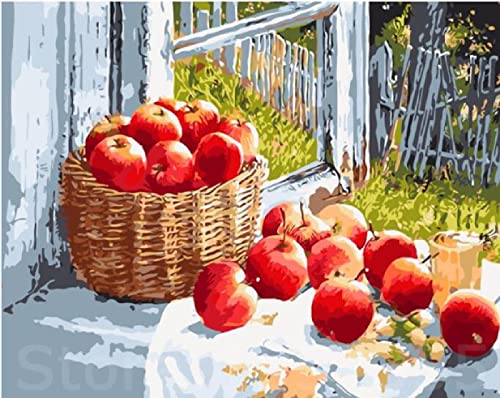 Kit broderie point de croix pommes 11CT toile pré-imprimée 40x50cm pour débutant
