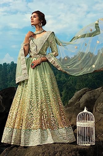 Image of Zeel Clothing Women's Net Semi Stitched Dori & Sequins Embroidered Lehenga Choli With Dupatta Salwar Suit Material (3600-Designer-Wedding-Bridal-Latest-New)