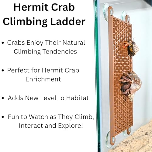 Image of Lucky Critter Hermit Crab Ladder Climbing Toy | Hermit Crab Tank Enrichment Decor | Hermit Crab Decoration Accessories Supplies Toys Ornaments