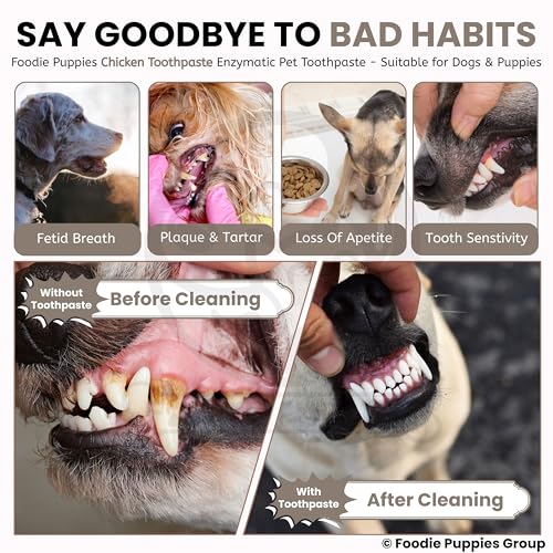 Image of Foodie Puppies Pet Toothpaste for Dogs - (Chicken Flavor, 100gm) Enriched with Baking Soda Soothes Inflamed Gums, Removes Plaque Tartar, Brightens Teeth, & Overall Oral Hygiene