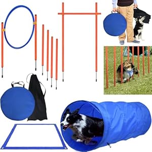 Orheya Agility Set Hundeausrüstung 7-teilig