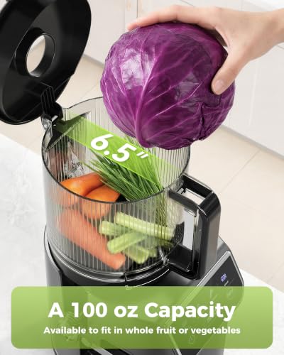 Image of TUUMIIST 3-in-1 Cold Press Juicer Machine, Smart Touch Masticating Juicers for Whole Fruit & Vegetable, 6.5 inch Wide Chute Slow Juicer for Nut Milk & Sorbet, High Yield, Easy Clean (Gun Grey)