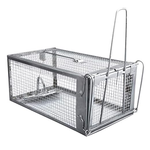 Gingbau Live Chipmunk Trap Humane Rat Mouse Cage Trap