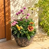 季節の寄せ植え リーフ柄 軽量プラスチック鉢 内径24cm 4色バリエーション 花ギフト 母の日 誕生日 新築祝い(ブラック)