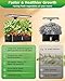 Hydroponics Growing System Kits,Smart Indoor Herb Garden with 24W LED Grow Light Planting Height Adjustablewith,12 Pods Plant Germination Kit,with Quiet Pump, Ideal Gift for All Ages