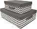Sorbus Storage Organizer Basket Set with Lids, Chevron Fabric Baskets for Household Essentials, Foldable & Portable for Nursery, Closet, and more
