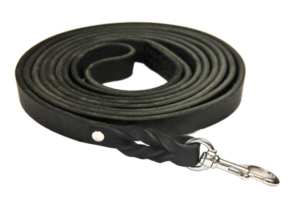 Laisse de suivi tressée Dean et Tyler en cuir noir et acier inoxydable durable