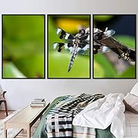 3 Piece Framed Canvas Wall Art Colorful Butterfly Insects Canvas Prints Home Artwork Decoration for Living Room,Bedroom - 16