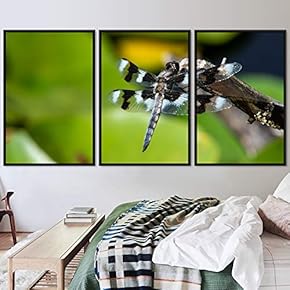 signwin 3 Piece Framed Canvas Wall Art Colorful...