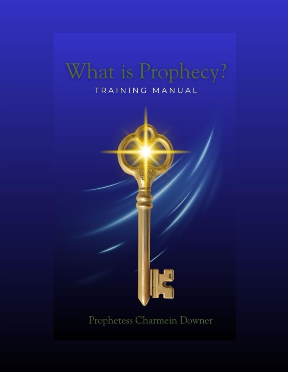 What is Prophecy Training Manual