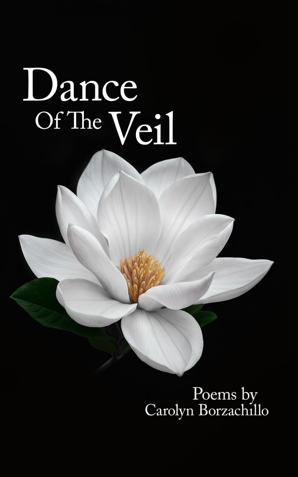 Dance of the Veil