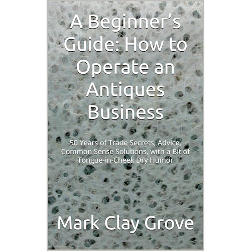 A Beginner&rsquo;s Guide: How to Operate an Antiques Business Audiolibro Por Mark Clay Grove arte de portada