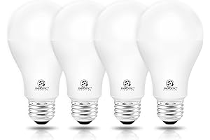 Brightest, Most Efficient Energetic LED Light Bulbs
