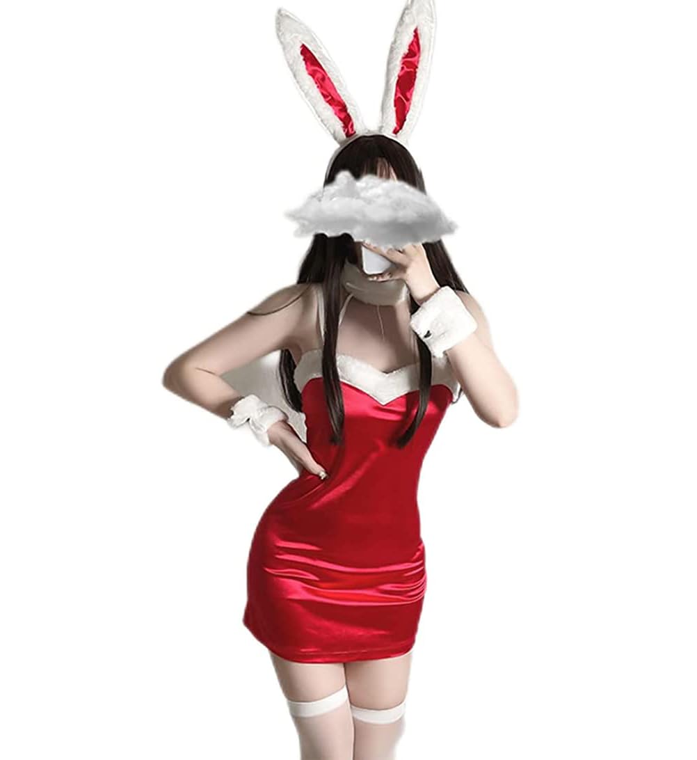 PratiharyeBunny Costume - Rabbit Outfit - Naughty Lovely Lingerie Set - Bodysuit - Cosplay for Women - Sexy Dress - Roleplay Lingerie