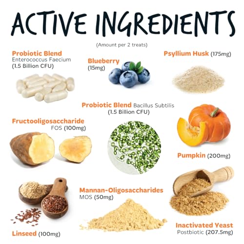 Bugalugs Probiotics for Dogs Natural Dog Treats with Pumpkin Powder - Probiotics For Gut Health, Sensitive Tums, Anal Gland, Scooting, Loose Stools, Smelly Itchy Ears Dog Probiotic - Image 4