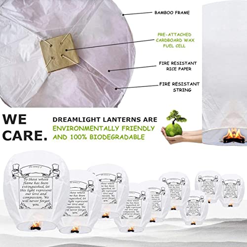 Dgsing 1-10 Pack Chinese Lantern &Janpanese Lanterns thumb #2