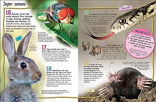 100 Facts Animal Life- Survival, Adaptation, Animal Kingdom, Educational Projects, Fun Activities, Quizzes and More! - Image 3