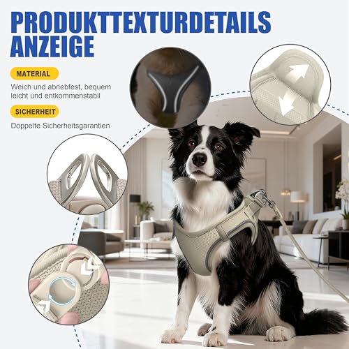 Hundegeschirr Set L mit 255cm Langer Leine – Gepolstertes Softgeschirr für mittlere Hunde – Sicherer Halt & Optimale Kontrolle durch Step-In Design – Beige