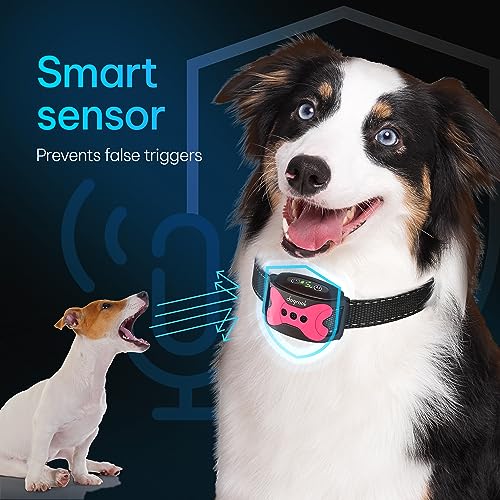 Image of DogRook Rechargeable Dog Bark Collar - No Shock Dog Training Smart Collar - Beep & Vibration Stop Barking Dog Devices - No Bark Collar - Martingale Collars for Large Dog, Medium & Small - 12-110 lbs