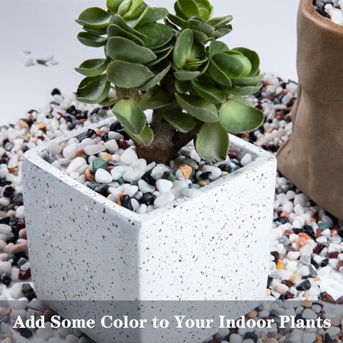 Image of 5lb Pea Silica Gravel Decorative Rocks, No Wax Pebbles Ideal for Fish Tank, Vases, Succulents, Home Decor and Garden Landscaping, Countryside Silica Gravel