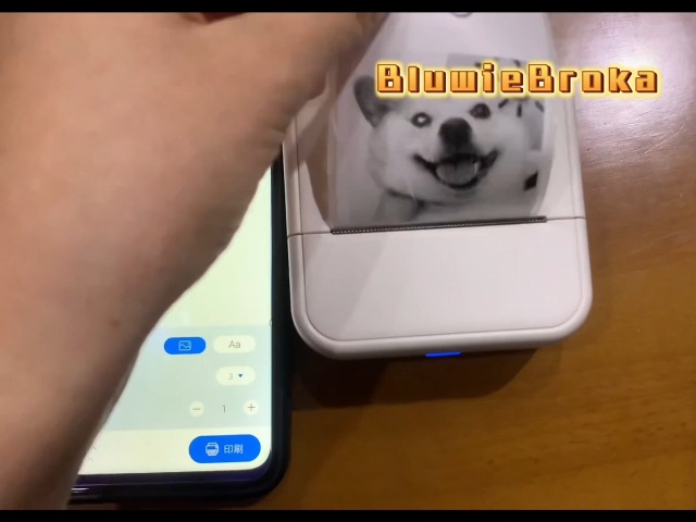Amazon.co.jp: 【2026年新型 AI画質向上モード搭載】ミニサーマル