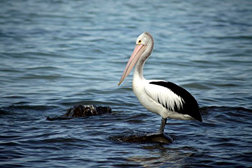 Tamron A17 70-300Mm F/4-5.6 di Pentax